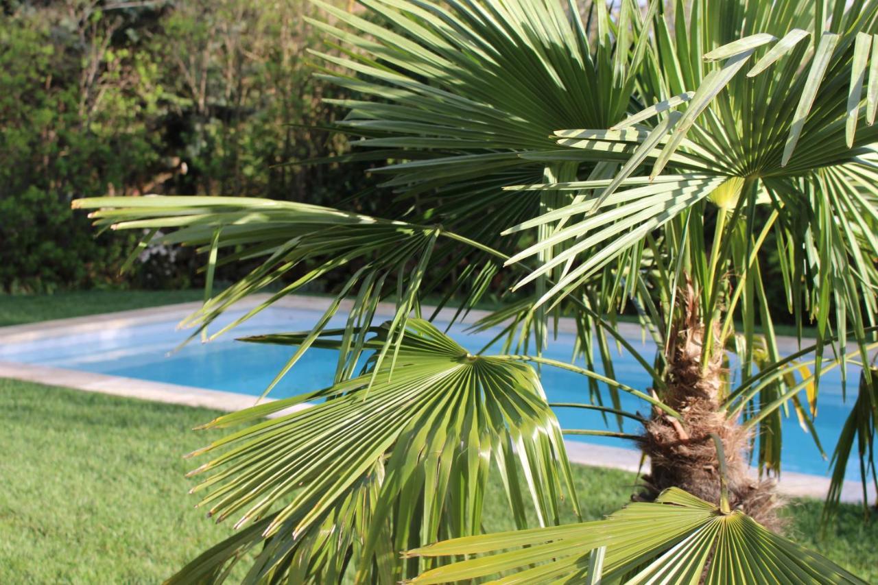 Les Romarins B&B, 10 Min D'Uzes, Piscine Et Grand Jardin, Table D'Hote Exterior foto